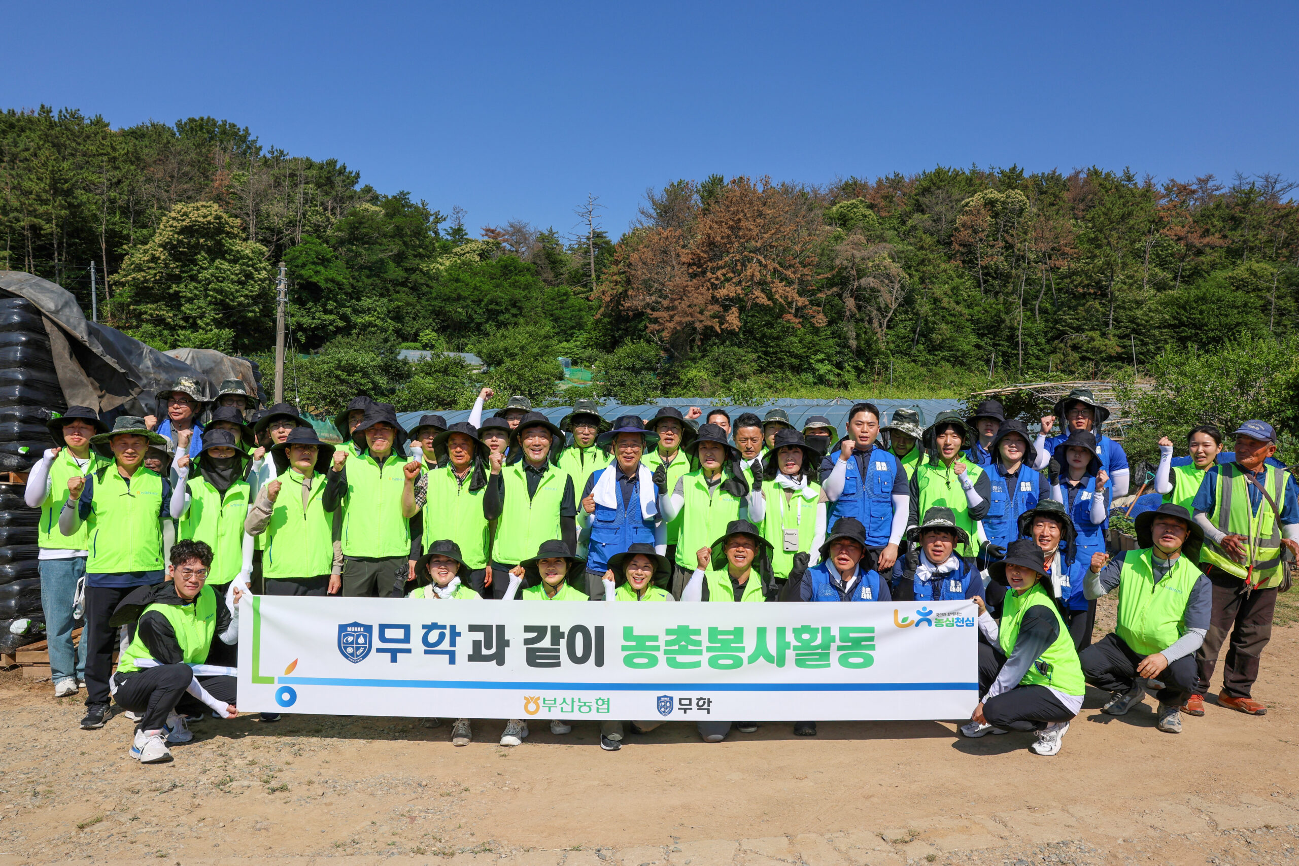 무학, 부산농협과 기장 배 농가 일손 돕기 나서